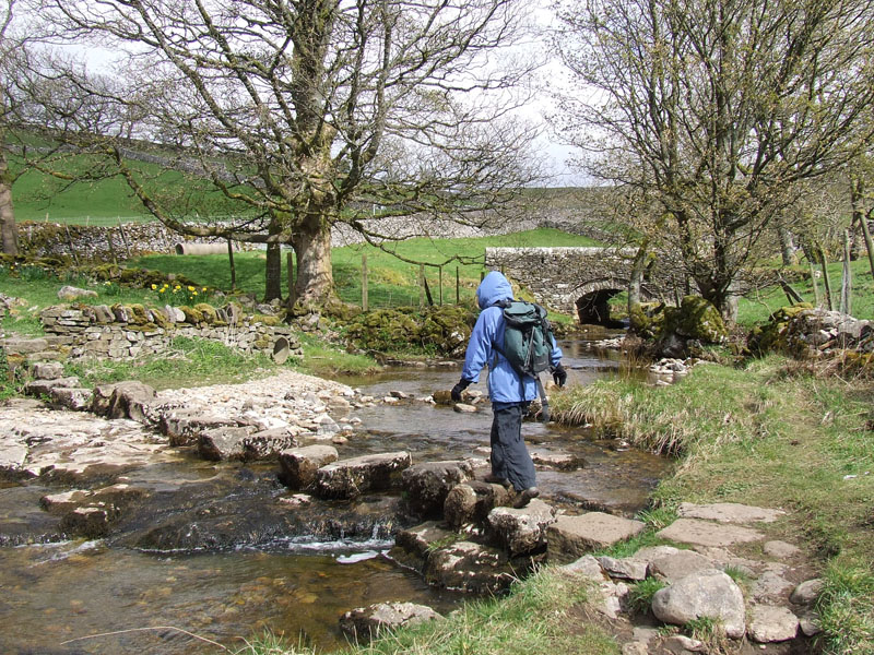 Cray stepping stones