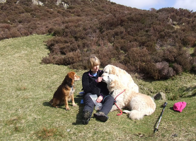 Jo and the dogs