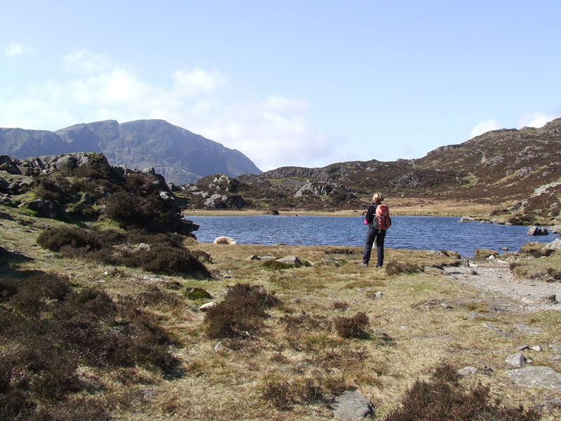 Innominate Tarn