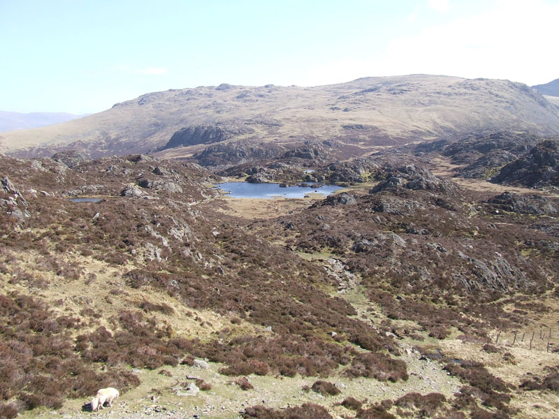 Innominate Tarn