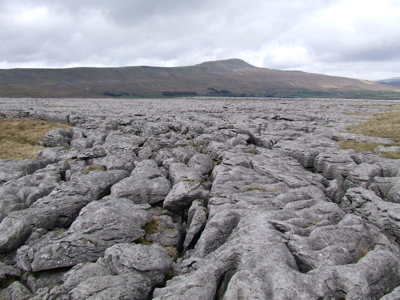 Limestone Pavement