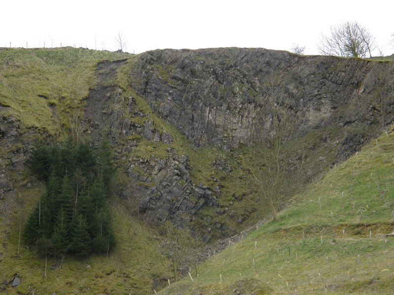 Anticline