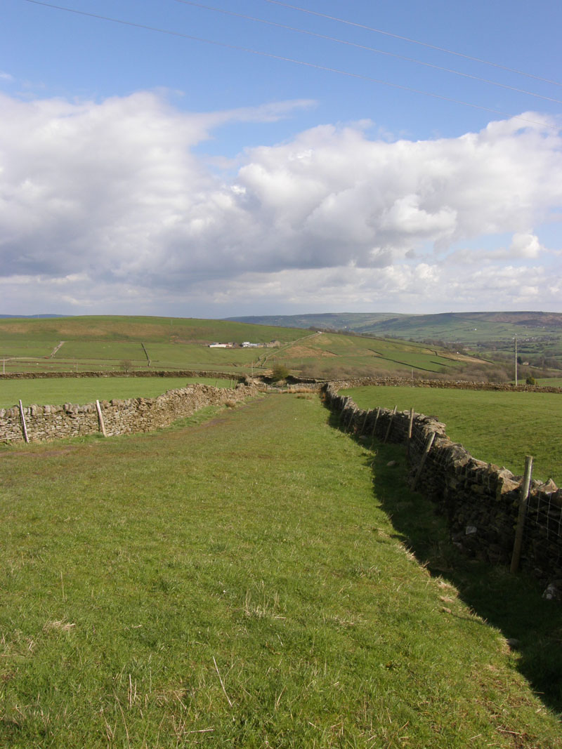 Pennine View