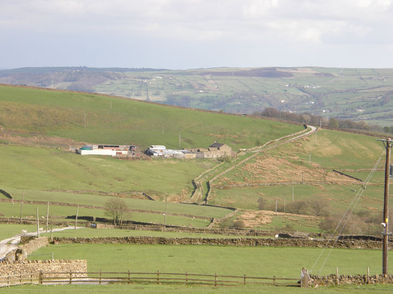 Tow Top Farm