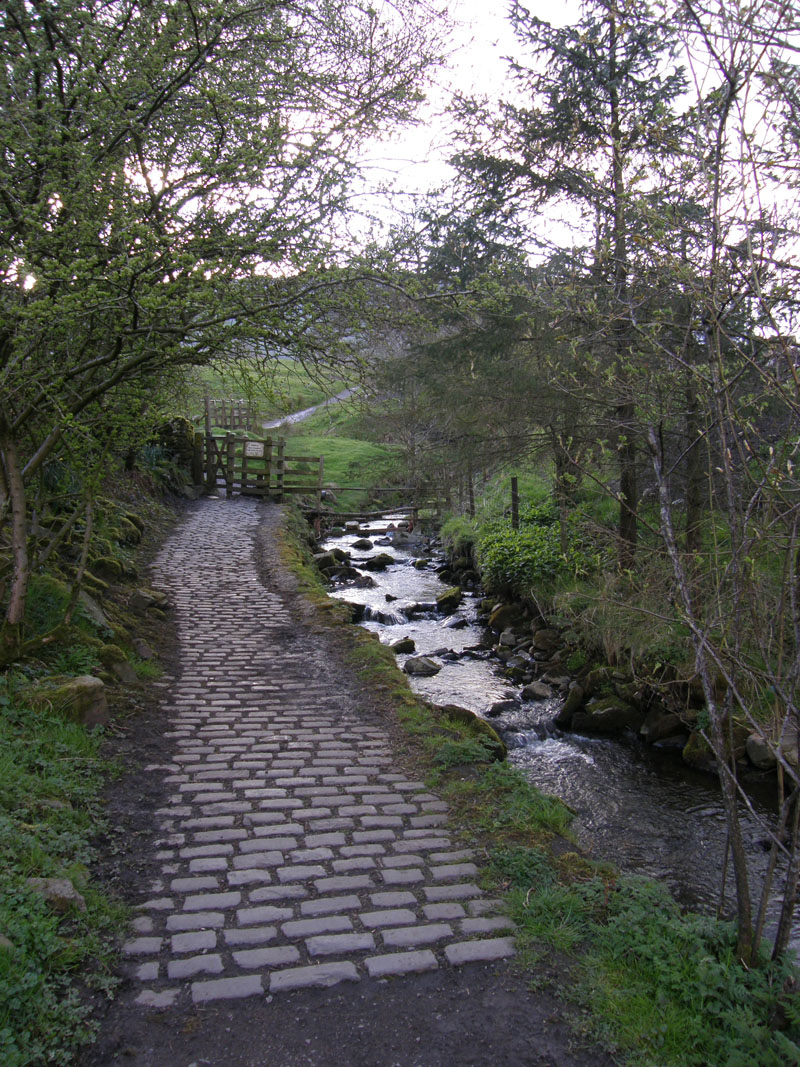 Barley Path