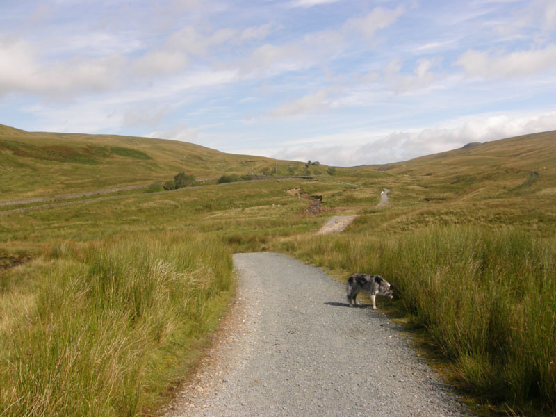 To Whernside