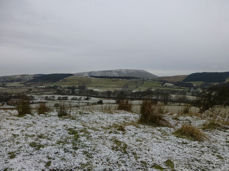 Pendle from Roughlee