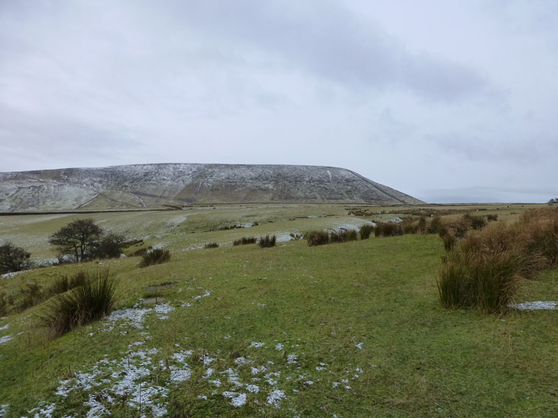 Pendle Fields