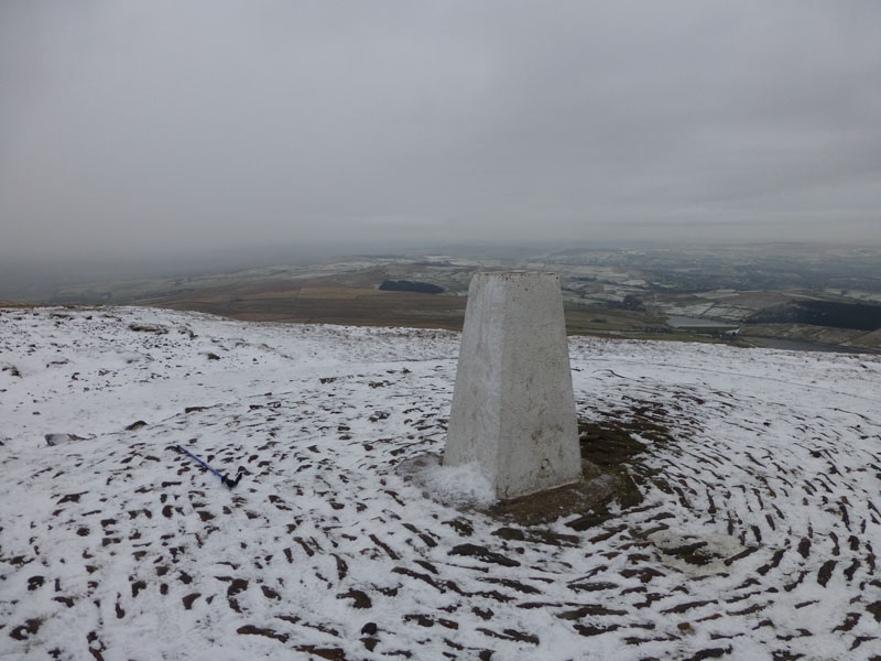 Pendle 50