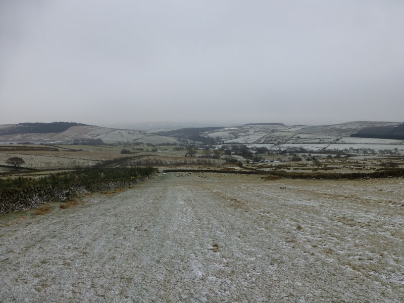 Across the fields