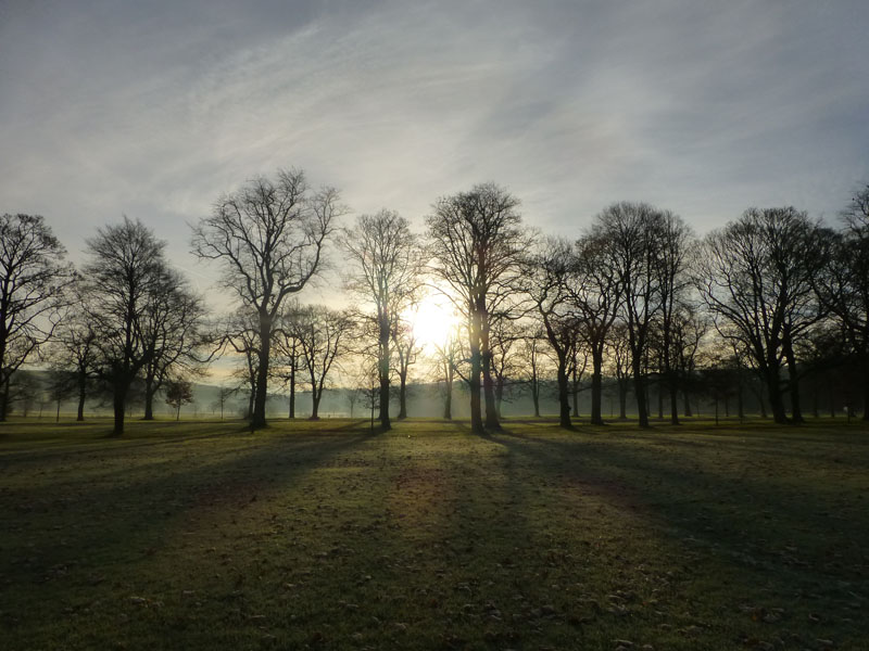 Towneley Avenue