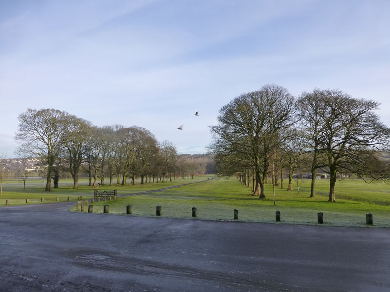 The Avenue