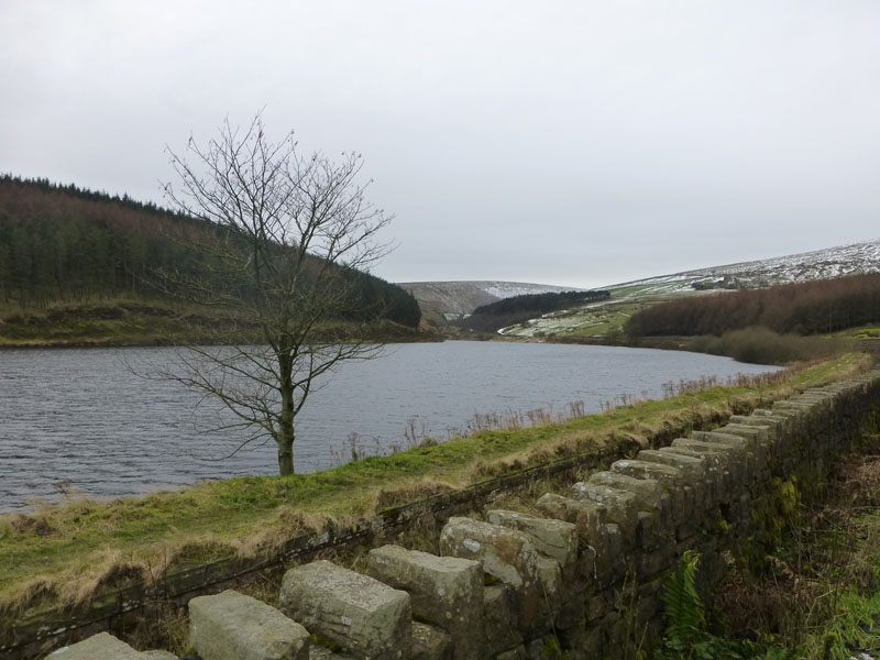 Lower Og Reservoir
