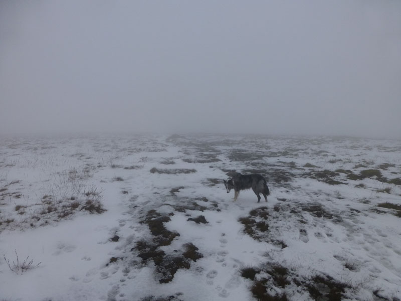 Izzy on Pendle