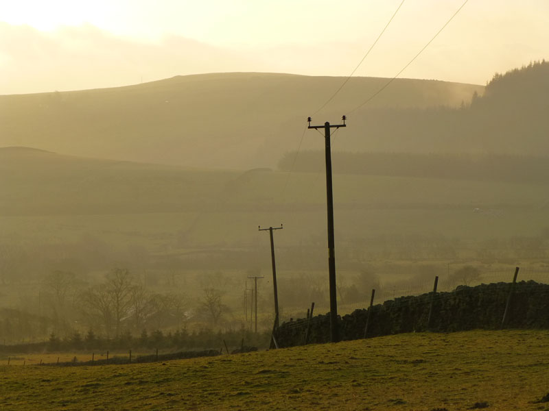 Telegraph Poles