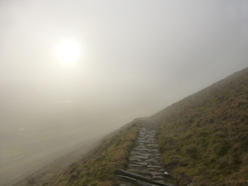 Misty Climb