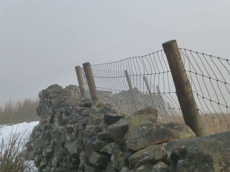 The Fence
