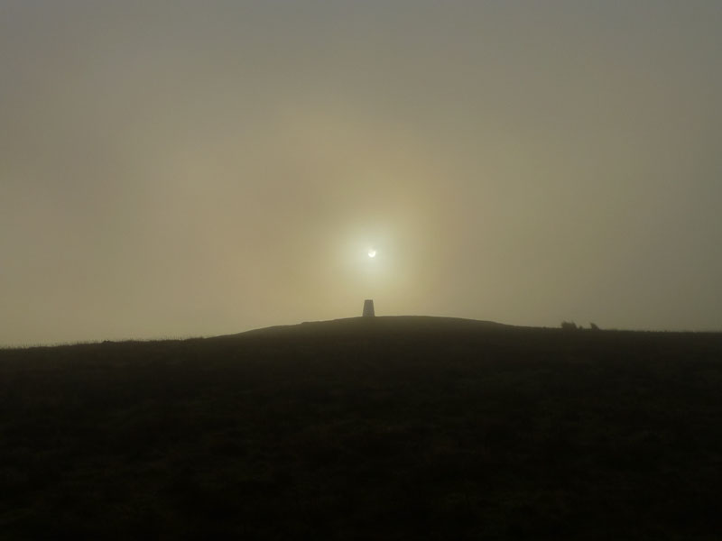 Misty Pendle
