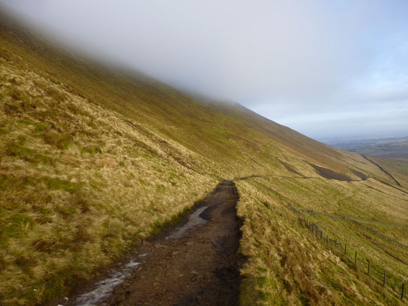 The Track