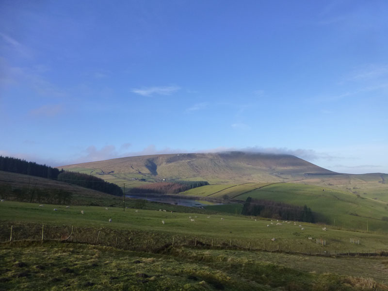 Pendle Mist