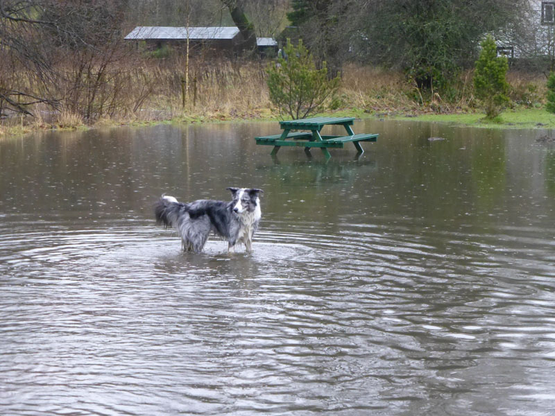 Ball Grove Picnic Area