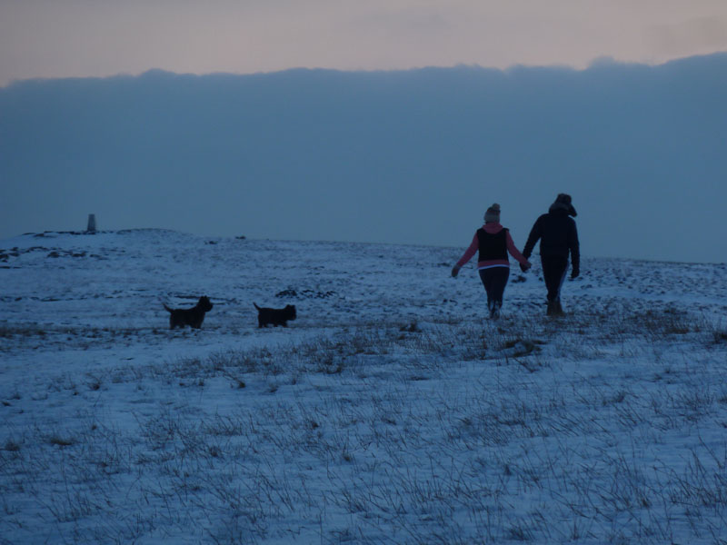 Pendle Walkers