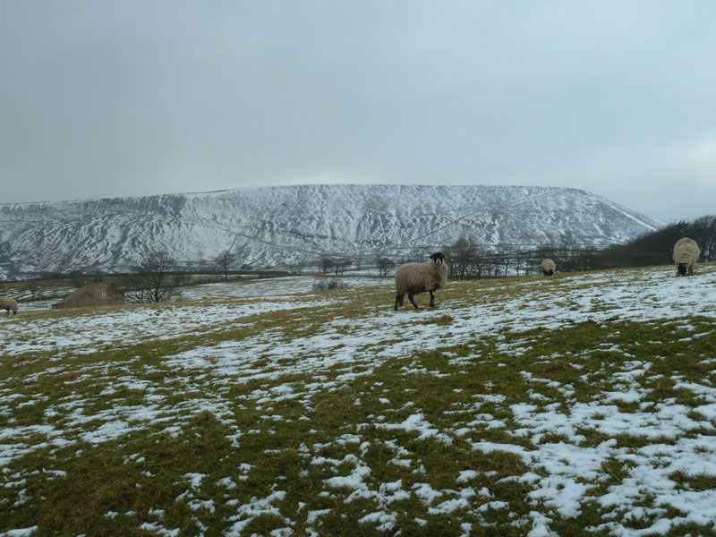 Pendle Hill