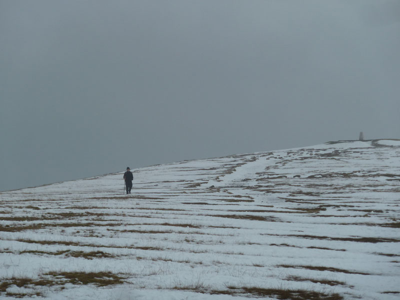 Pendle Walker