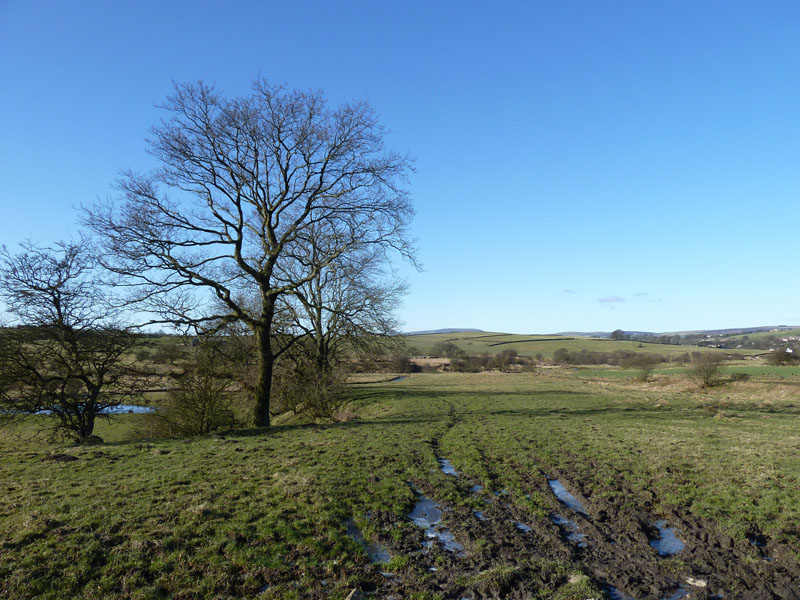 Wycoller Fields