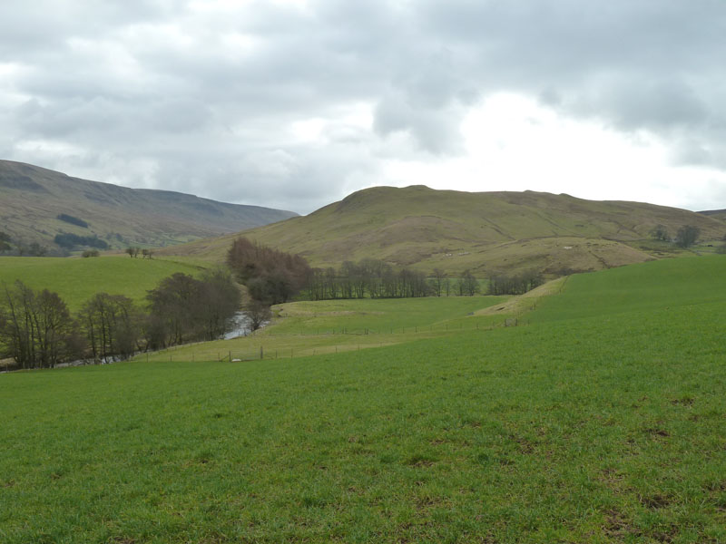 Birkett Common