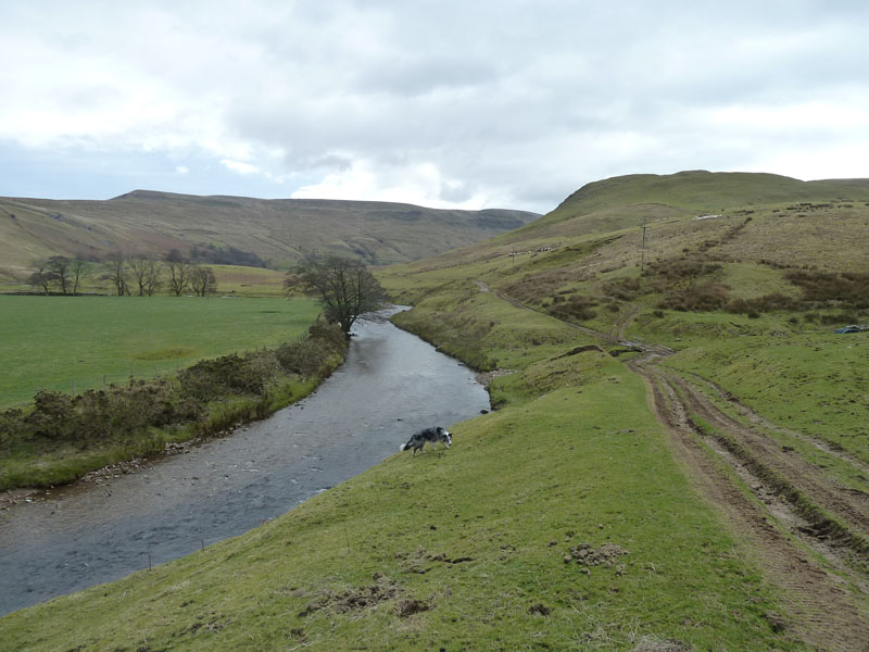 River Eden