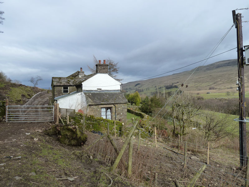 Sycamore Tree Farm