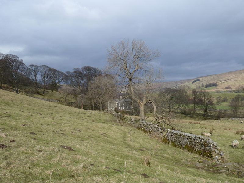 Walk View