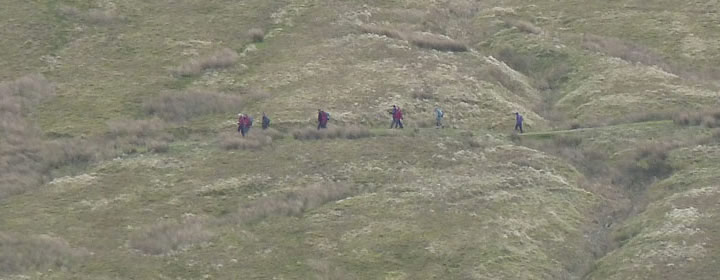 Walkers
