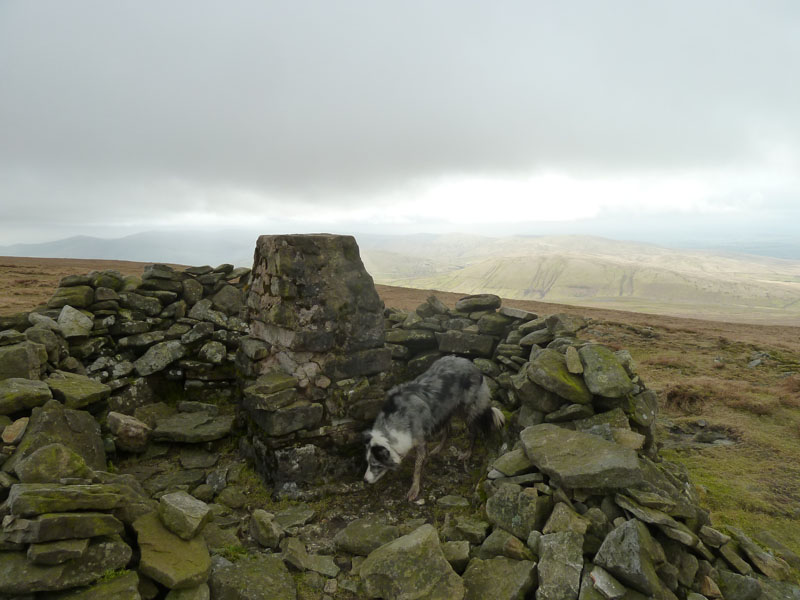 Wild Boar Fell Summit