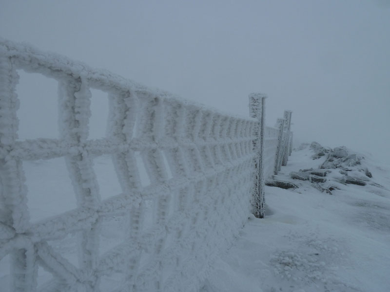 Icy Fence