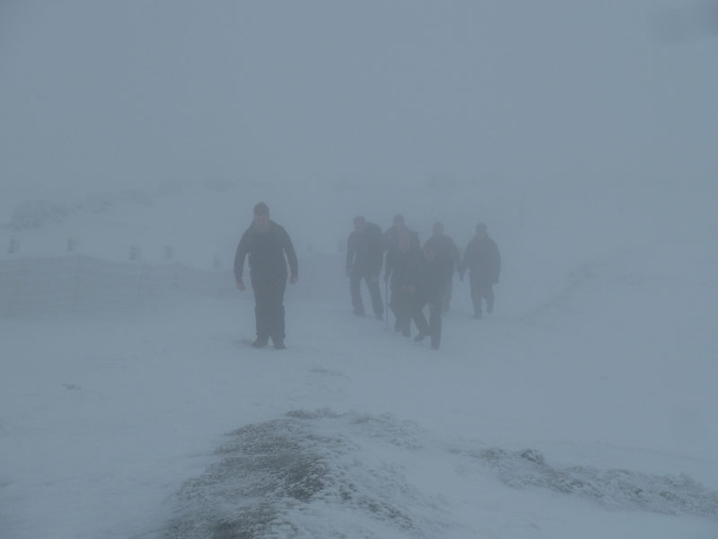 Whernside Walkers