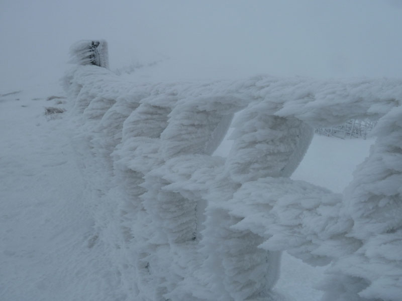 Icy Fence