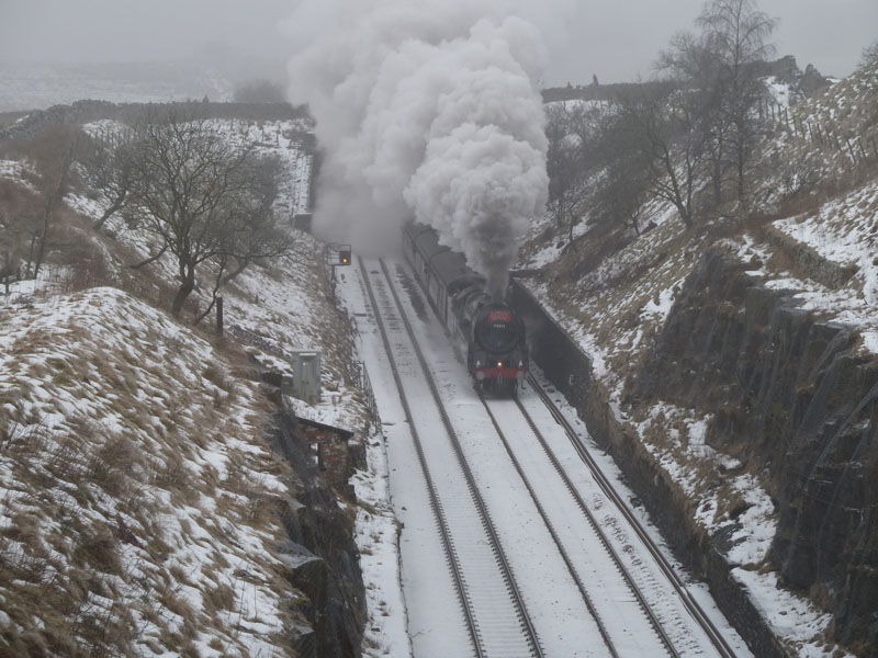 Steam Train