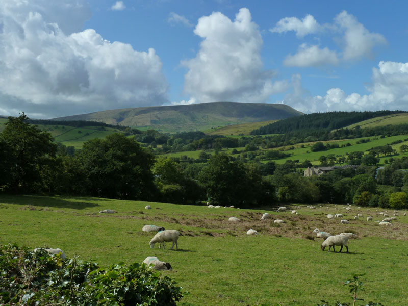 Pendle Hill
