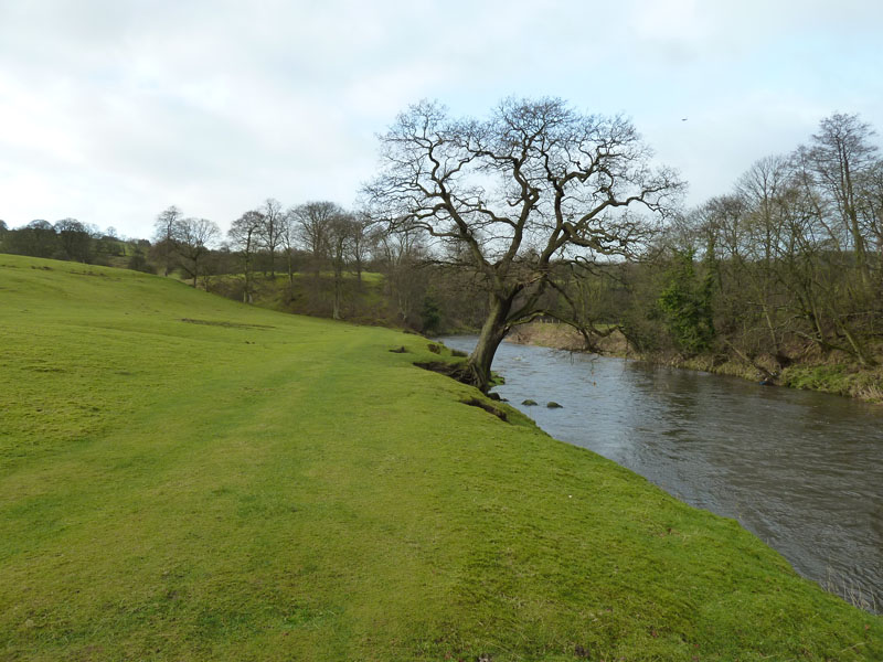 River Calder