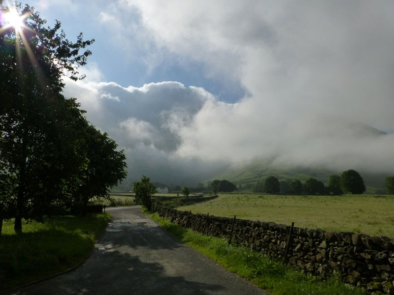 Misty Hartsop