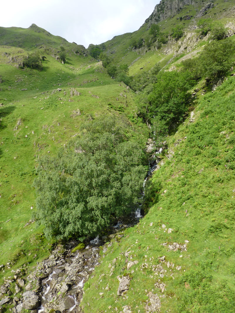 Hogger Gill