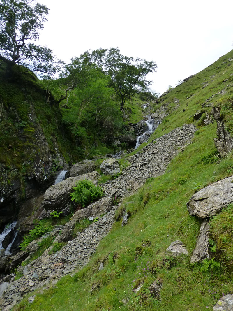 Hogger Gill