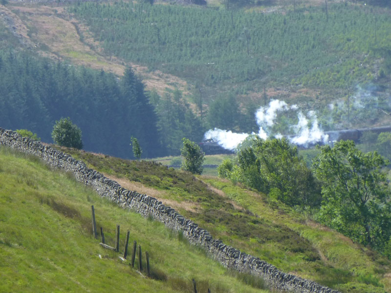 Steam Train