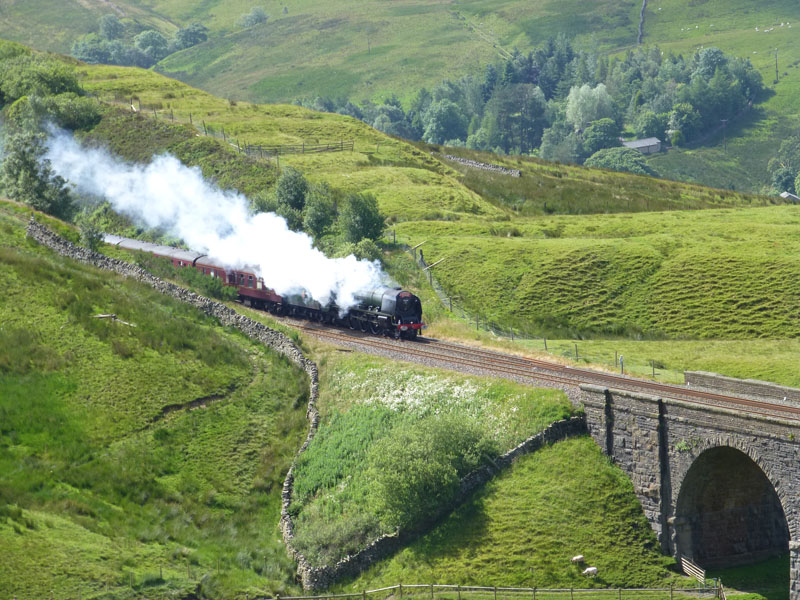 Steam Express Train