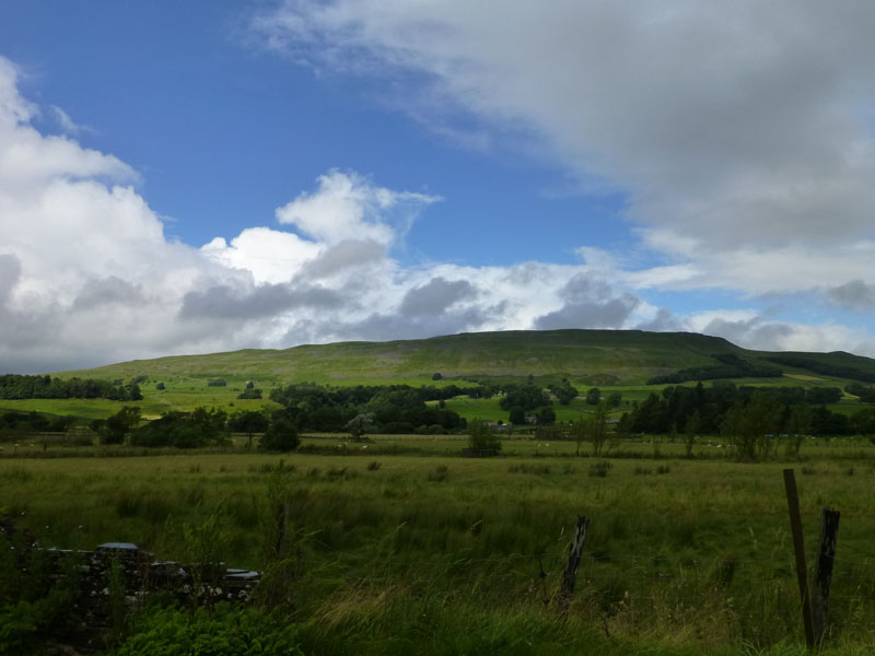 Dales View