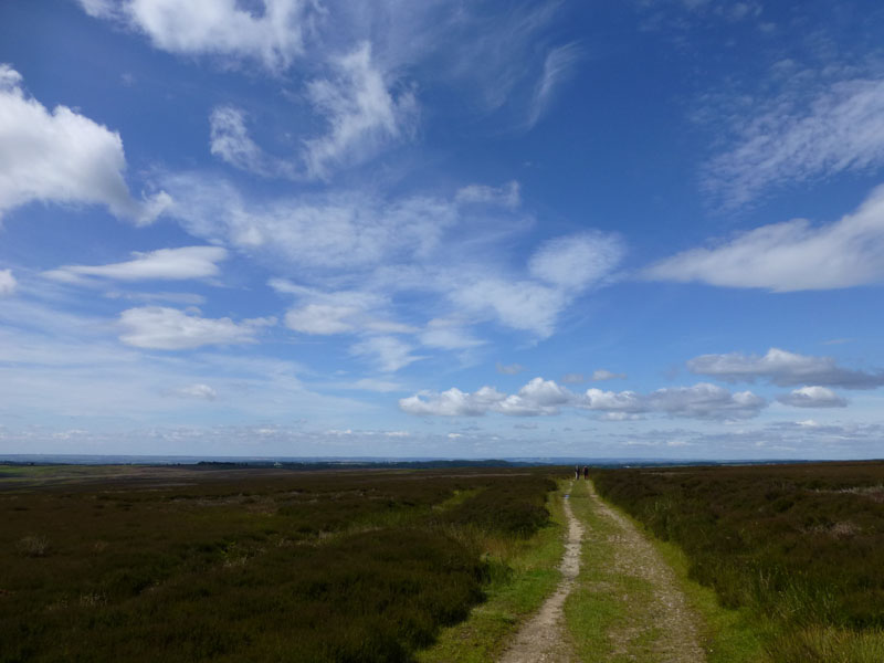 Levisham Moor