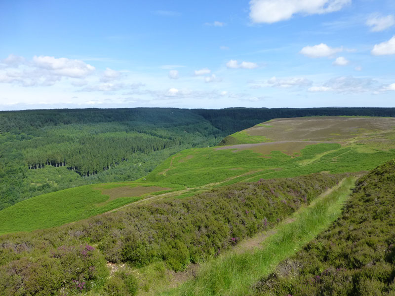 Levisham Moor