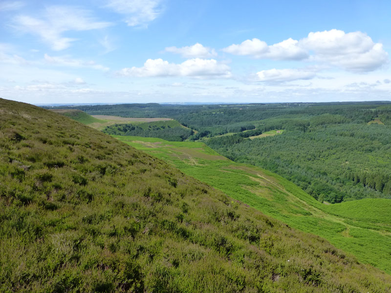 Levisham Bottoms